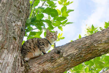 Similar image 21385800