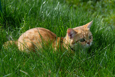 Similar image 21385801