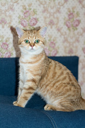 Similar image 21385802