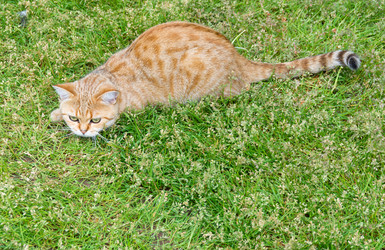 Similar image 21385803