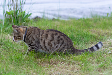 Similar image 21385805