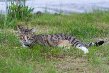 Similar image 21385806