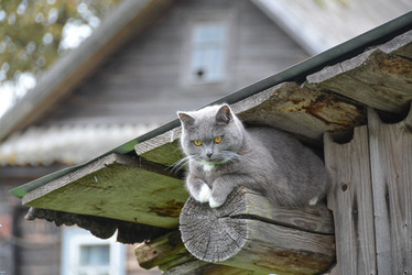 Similar image 21385807