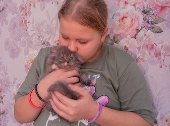 Similar image 21385809