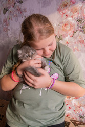 Similar image 21385811