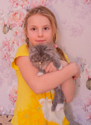 Similar image 21385812