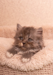 Similar image 21385814