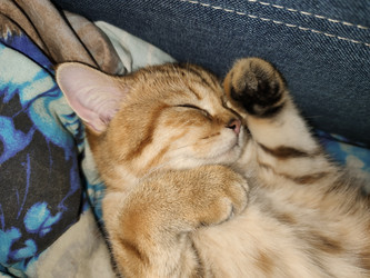 Similar image 21385815