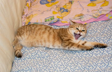 Similar image 21385816