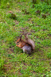 Similar image 21384938