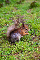 Similar image 21384940