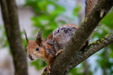 Similar image 21384941