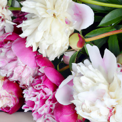 Similar image 21404297