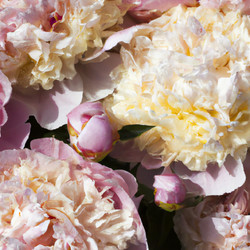 Similar image 21404299