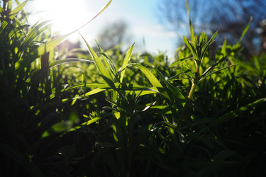 Similar image 21405472