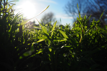 Similar image 21405474