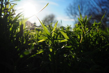 Similar image 21405475