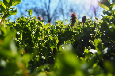 Similar image 21405477