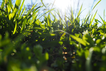 Similar image 21405478