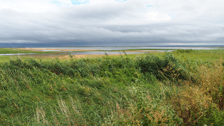 Similar image 21406343