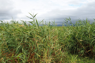 Similar image 21406346