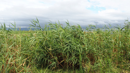 Similar image 21406347