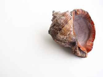 Similar image 21406352