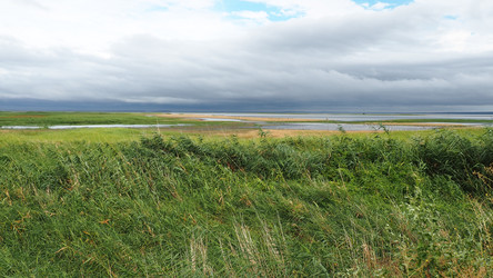 Similar image 21406354