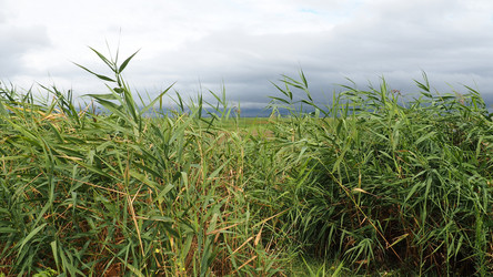 Similar image 21406355