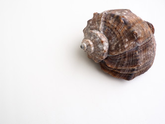 Similar image 21415710