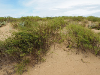 Similar image 21418061