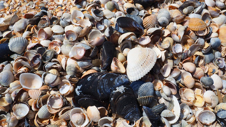 Similar image 21418062