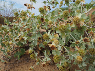 Similar image 21418064