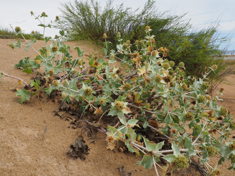 Similar image 21418068