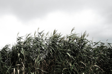 Similar image 21404302