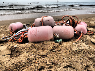 Similar image 21404304