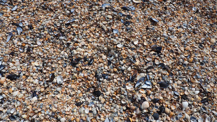 Similar image 21404308