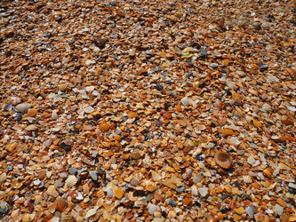 Similar image 21404309