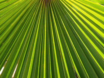 Similar image 21404310