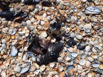 Similar image 21404312