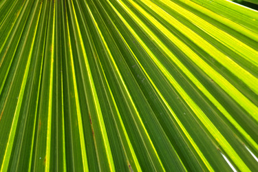 Similar image 21404316