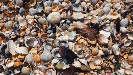 Similar image 21404317