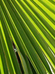 Similar image 21404485