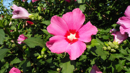 Similar image 21404486