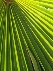 Similar image 21404487