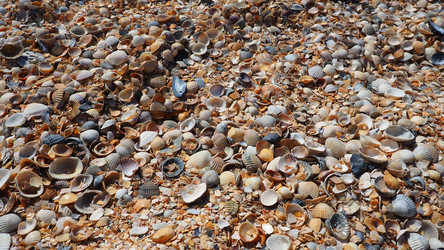 Similar image 21404488