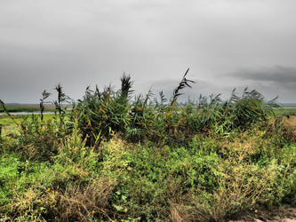 Similar image 21405822