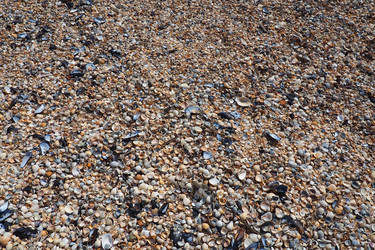 Similar image 21417236