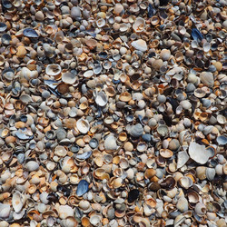 Similar image 21417237