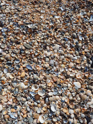 Similar image 21417239